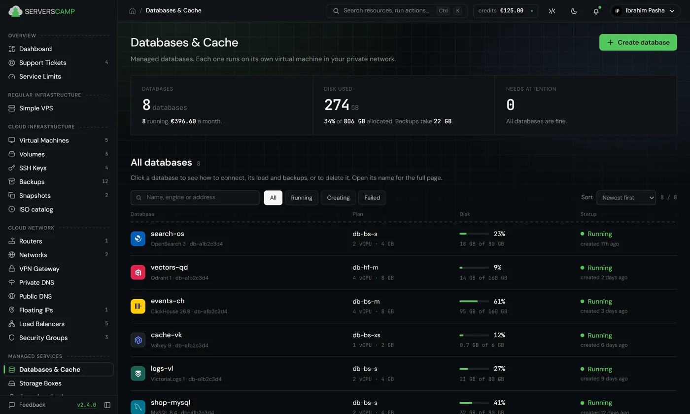 Databases page of the ServersCamp Cloud Panel